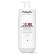 Goldwell Dualsenses Color Brilliance Shampoo and Conditioner 1L Duo