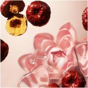 Rituals The Ritual of Jing Lotus Flower & Jujube Refill Hand Wash 600m...