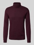 Tom Tailor Regular Fit Rollkragenpullover aus reiner Baumwolle mit Log...