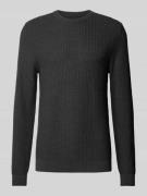 MCNEAL Regular Fit Strickpullover aus reiner Baumwolle in Dunkelgrau M...