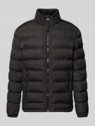 Strellson Regular Fit Steppjacke mit Stehkragen Modell 'MODENA FUSED' ...