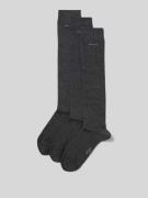 camano Kniestrümpfe mit Label-Detail im 3er-Pack in Anthrazit, Größe 3...