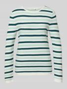 Tom Tailor Regular Fit Strickpullover aus reiner Baumwolle in Mint, Gr...