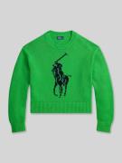 Polo Ralph Lauren Regular Fit Strickpullover aus reiner Baumwolle in G...