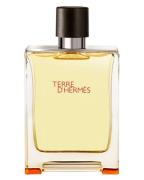 Hermes Terre d'Hermes EDT 100 ml