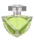 Britney Spears Believe EDP 100 ml