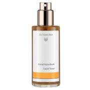 Dr. Hauschka Facial Toner 100 ml