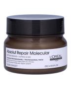 Loreal Absolut Repair Molecular Mask 250 ml