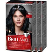 Schwarzkopf Brillance 891 Blue Black 3-pack