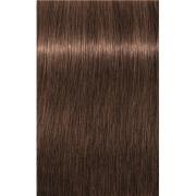 Schwarzkopf Professional Igora Vibrance Tone on tone Coloration 6