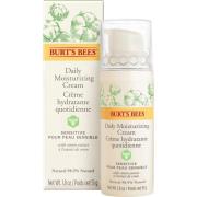 Burt´s Bees Sensitive Skin Day Cream