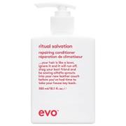 Evo Repair Salvation Repairing Conditioner 300 ml