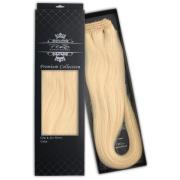 Poze Hairextensions Premium Collection Clip & Go 50 cm 12NA Plati