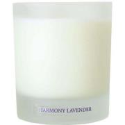 Washologi Harmony Soy Wax Candle 300 ml