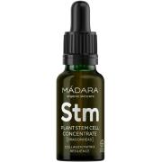 Mádara Custom Active Plant Stem Cell Concentrate 17,5 ml