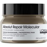 L'Oréal Professionnel Absolut Repair Molecular Absolut Repair Mol