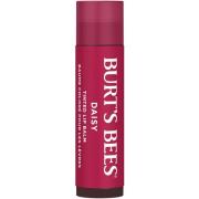 Burt´s Bees Tinted Lip Balm Daisy