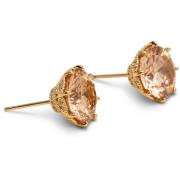 Lily and Rose Elenora studs - Champagne