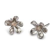 Lily and Rose Petite Eponine Stud Earrings Silver