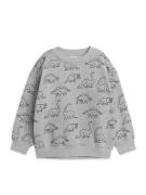 Arket Legeres Sweatshirt grau/Dino, Sweatshirts in Größe 134/140. Farb...