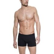 Bread and Boxers Boxer Brief 5P Schwarz Ökologische Baumwolle Small He...