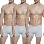 Bread and Boxers Boxer Briefs 3P Grau Ökologische Baumwolle Small Herr...