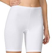 Calida Comfort Pants Med. Leg 26024 Weiß 001 Baumwolle Small Damen