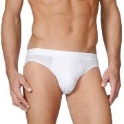 Calida Evolution Brief 21660 Weiß 001 Baumwolle Small Herren