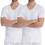Calida 2P Natural Benefit V-shirt Weiß Baumwolle Small Herren