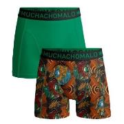 Muchachomalo 2P Cotton Stretch Rastafarian Boxer Grün gemustert Baumwo...