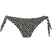 Rosa Faia Summer Dot Bikini Bottom Schwarz/Weiß 38 Damen