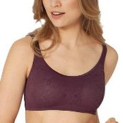 Triumph BH Everyday Fit Smart P Pflaume Fit Smart 4 Damen