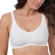 Trofe Helene Prosthetic Bra BH Champagner A 75 Damen