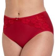 Miss Mary Jacquard and Lace Panty Rot 38 Damen