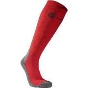 Seger Alpine Compression Sock Rot Gr 46/48