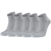 Seger 5P Low Cotton Socks Grau Gr 39/42
