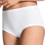 Calida 2P Iconics Midi Brief Weiß Baumwolle 38 Damen