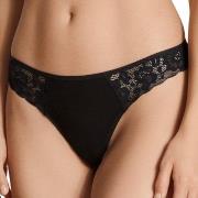 Calida Natural Comfort Lace Thong Schwarz Baumwolle Small Damen