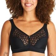 Swegmark BH Lovely Lilly Soft Bra Schwarz Baumwolle B 75 Damen