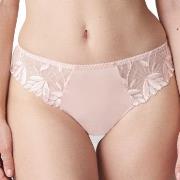 PrimaDonna Orlando Thong Hellrosa 38 Damen