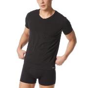 Bruno Banani Infinity V-Shirt Schwarz Small Herren