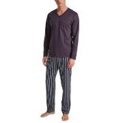 Calida Relax Streamline 5 Pyjama Pflaume Baumwolle Small Herren