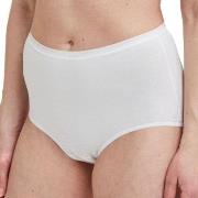 Decoy 5P Maxi Briefs Weiß Ökologische Baumwolle Small Damen