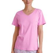 Calida Favourites Space Shirt Short Sleeve Rosa Baumwolle Small Damen