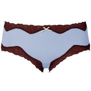 Triumph Brief Micro and Lace Hipster 15 Hellblau Polyamid Small Damen