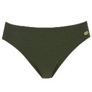Damella Brigitte Textured Bikini Brief Dunkelgrün Nylon 38 Damen