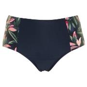 Missya Milano Bikini Maxi Brief Blau/Rosa 38 Damen