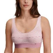 Calida BH Elastic Top Rosa gestreift Baumwolle Small Damen