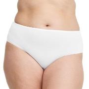 Swegmark Essence Midi Briefs Modal Weiß Modal Small Damen