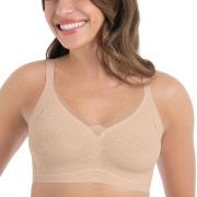 Anita BH Essentials Smart Padded Lace Bralette Hellrosa Small Damen